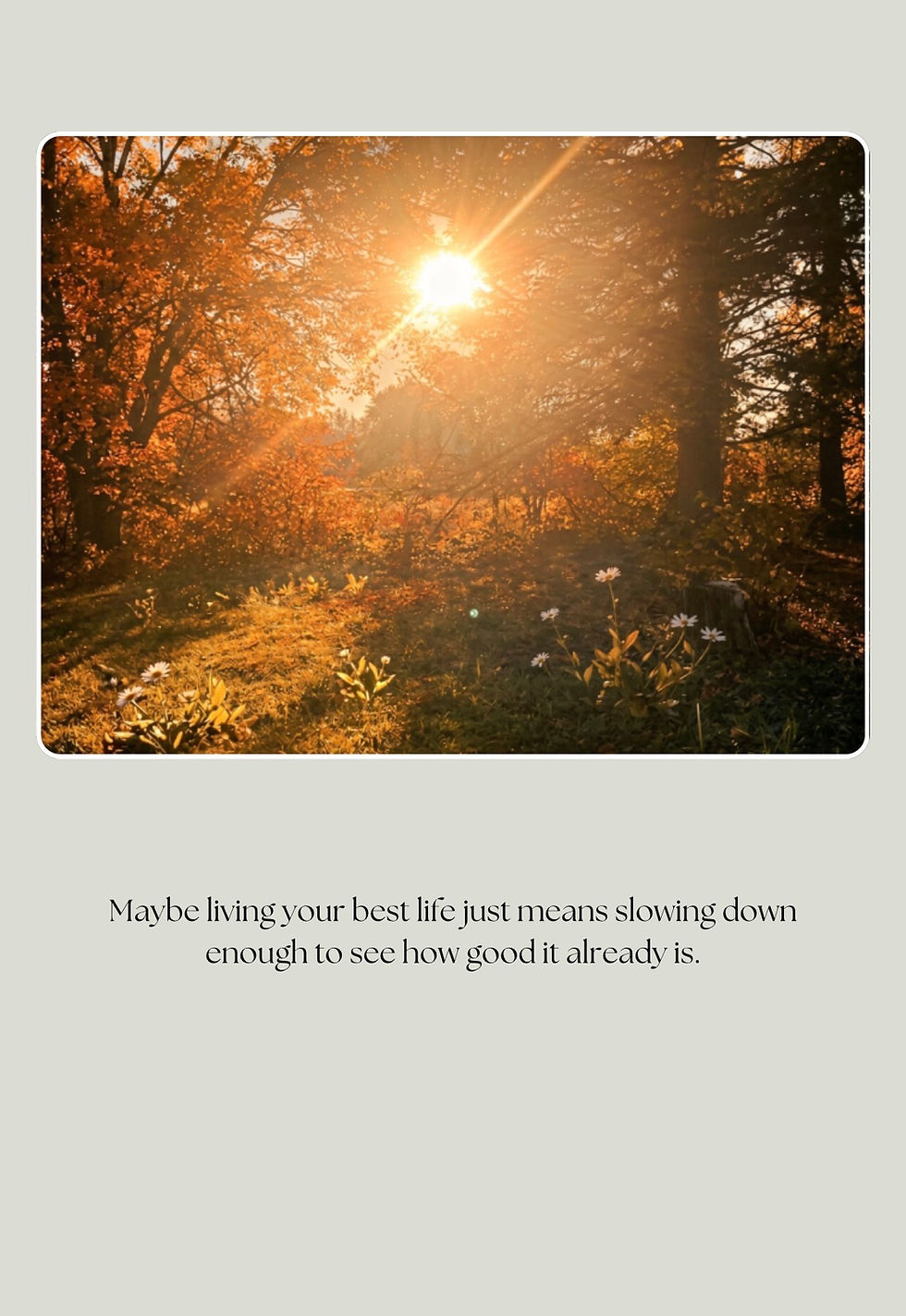 Thumbnail: Seasonal Living Guide