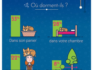 Où dorment nos chiens ?