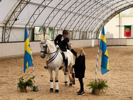 Lyckad dressyrdebut på Svenska feiran