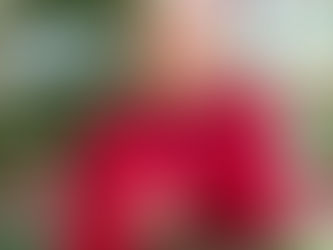 Frohe Weihnachten 🎄 & neue Rezension