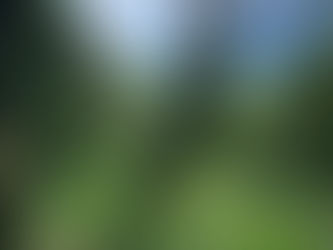 🌺 Sommerferien - Hawaii - Blogbirthday 🌺