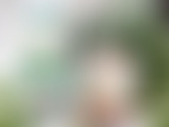 太子牌推出全新原片有機三角茶包系列