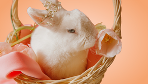 Protecting Your Bunny: Essential Tips for Rabbit Safety and Security