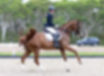 AP25_SN-1577-Enhanced-NR-Edit.jpg