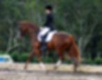 2019 07 06 AYDC.jpg
