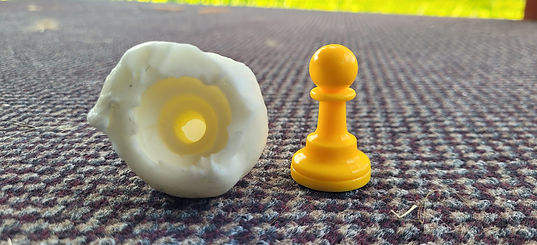 20251012_173302.jpg