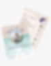 Untitled design (2).png