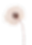 Untitled_Artwork 8.png