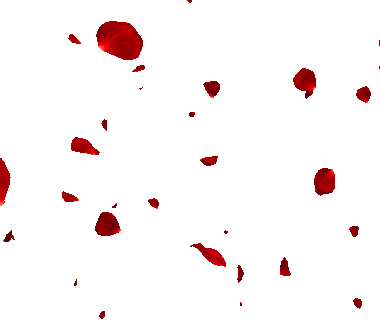 source.gif