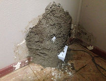 Termite mudding