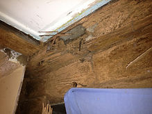 Structural Termite Damage