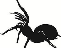 spider black - Copy.jpg