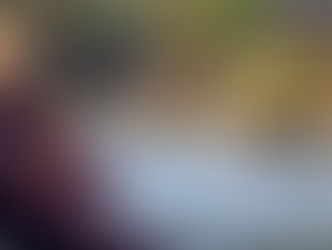 ティク･ナット･ハン師のご近況（継続日に際し、プラムヴィレッジより）