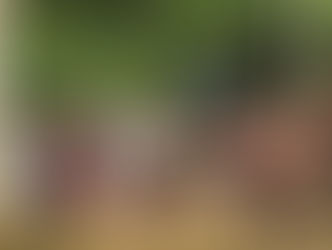 ヴェトナムのティク・ナット・ハン師