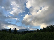熊本サンガ
