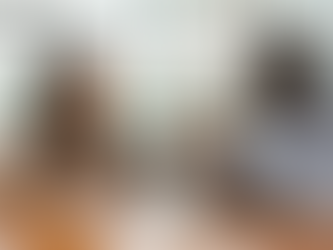 SKEMA EMBA Career Outcomes