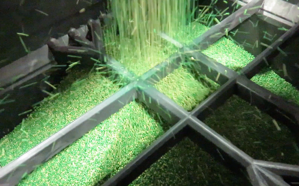 Treated Seed with B2B Treater