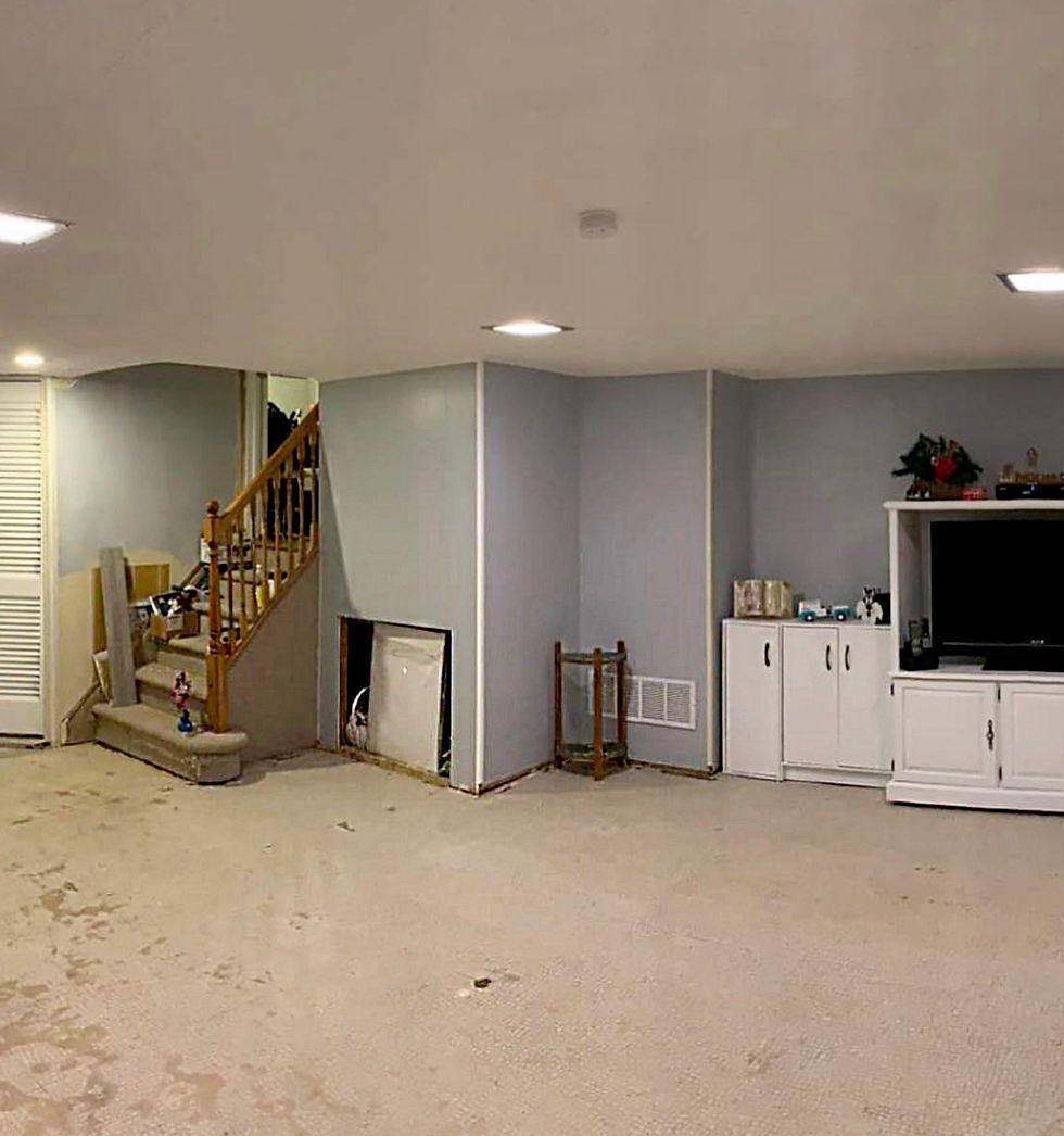 Basement BEFORE...