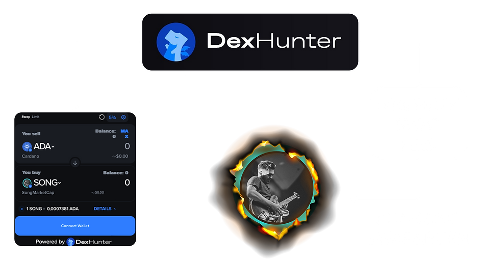 songmarketcap SWAP&BURN WIDGET allocation.png