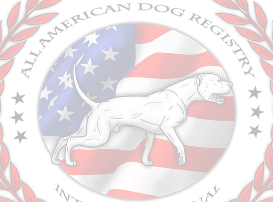 new AADRI logo transparent png (1)_edited_edited.png