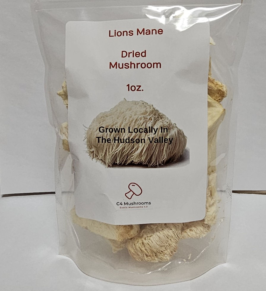 Lion's Mane Dried Whole Mushroom