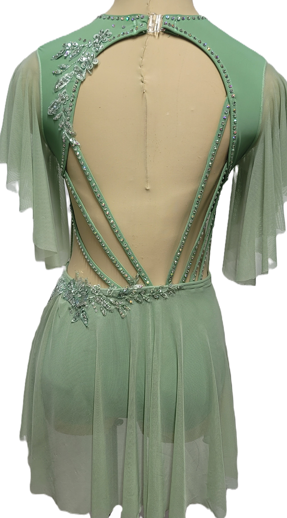 Thumbnail: Stunning Dance Costume