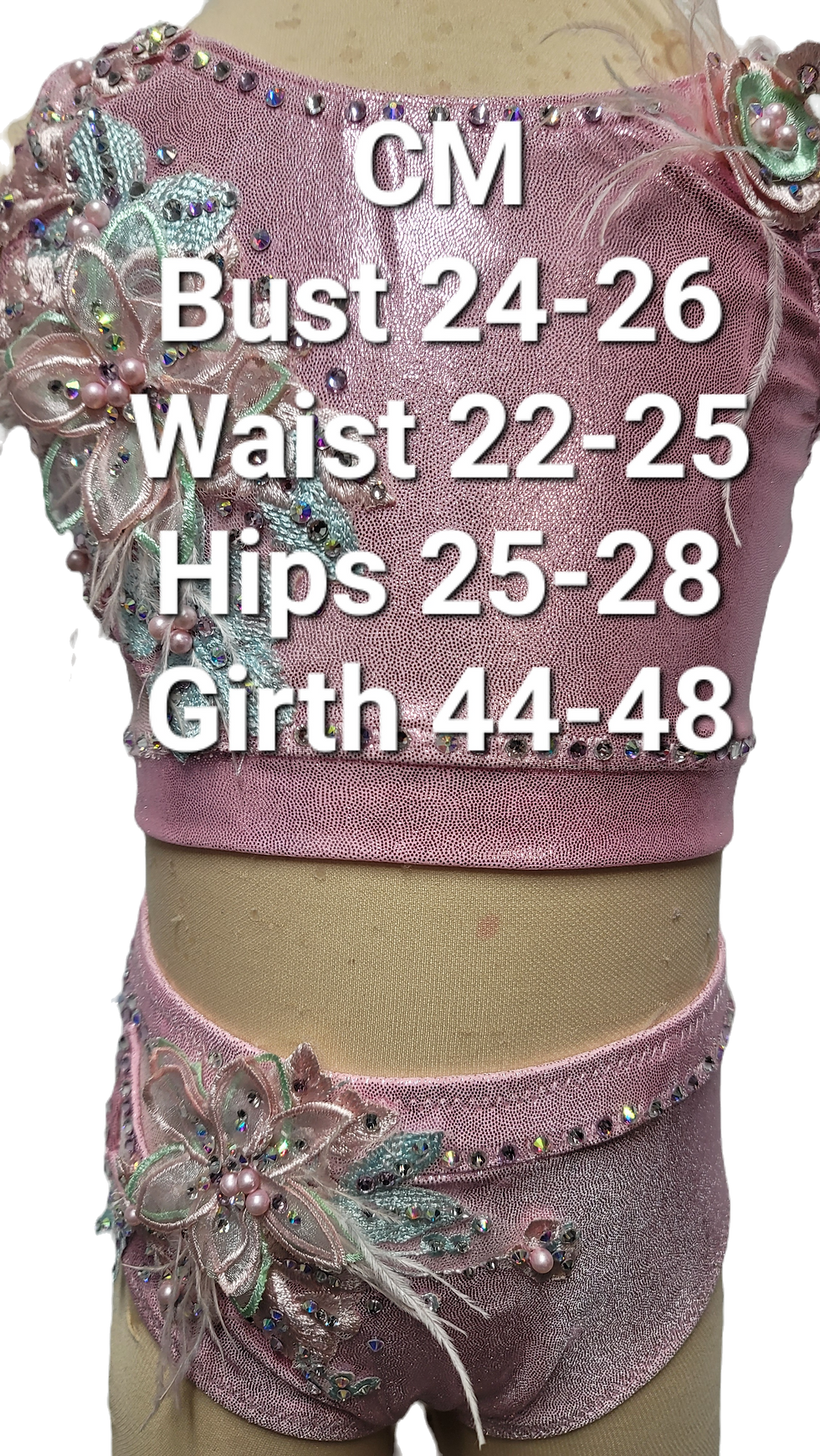 Thumbnail: Pretty Little Pink Dance Costume