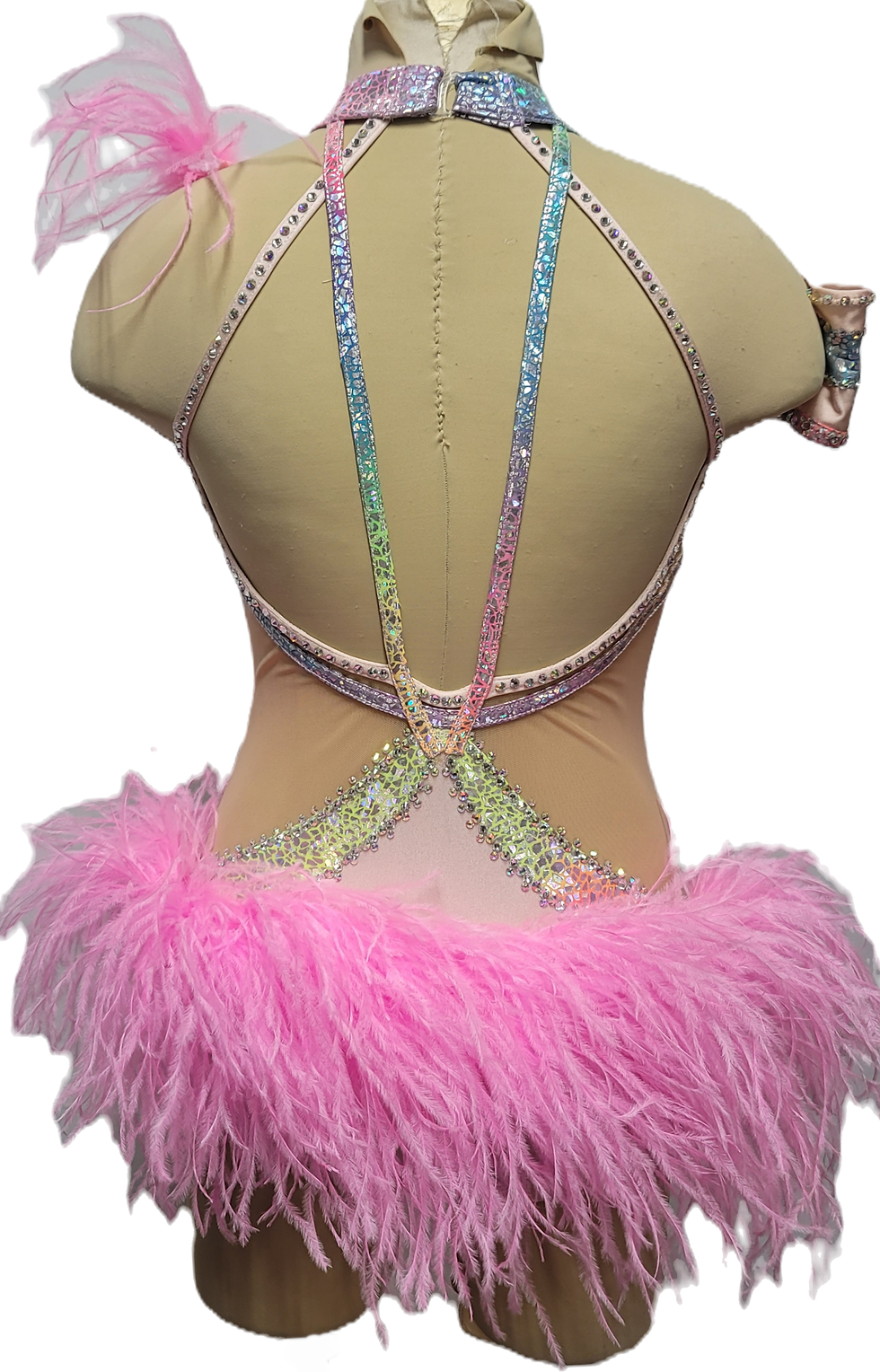Thumbnail: Beautiful Dance Costume