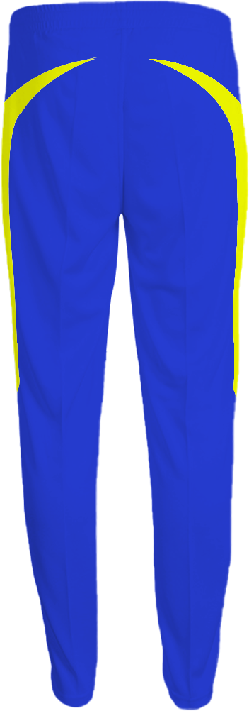 Thumbnail: ROBUST TRACKS