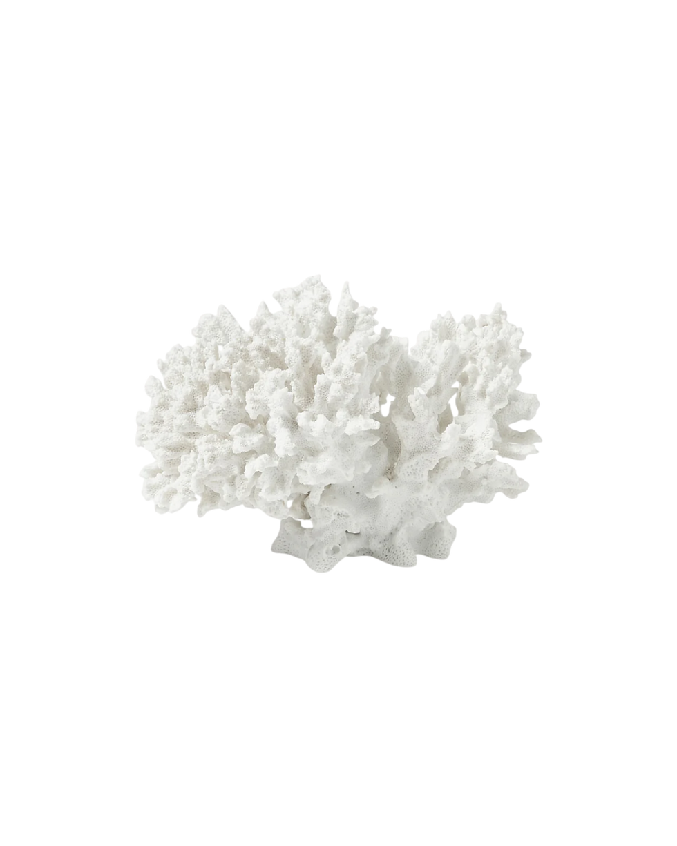 Coral Branco