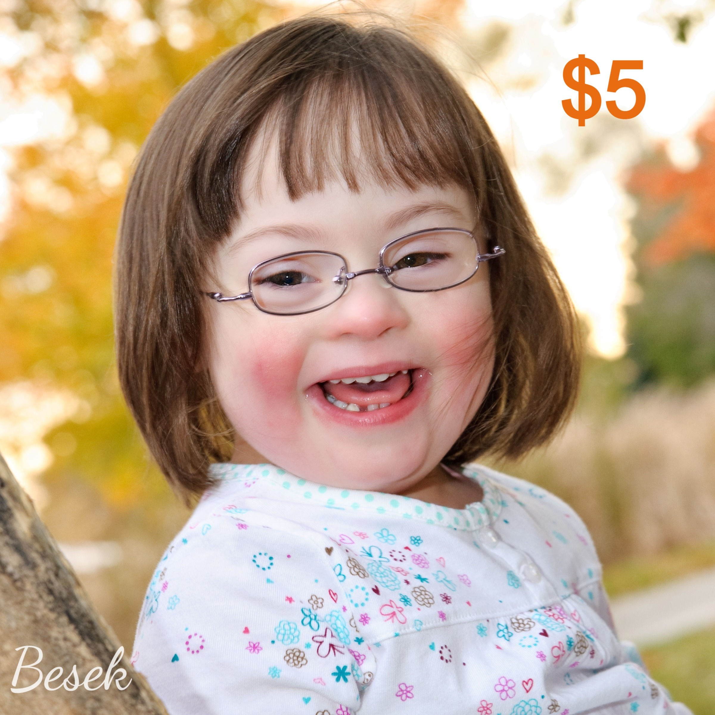 Supplemental Charge or Support amount