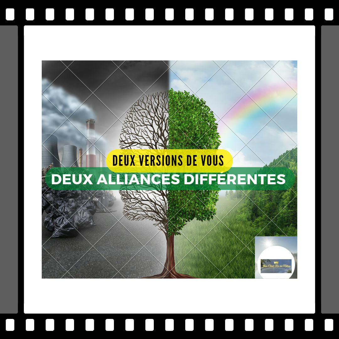 DEUX VERSIONS DE VOUS, DEUX ALLIANCES DIFFÉRENTES .