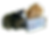 gatos.png
