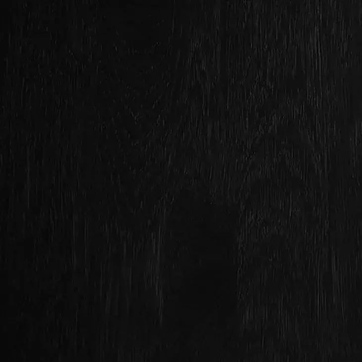 RAL 9005 JET BLACK.webp
