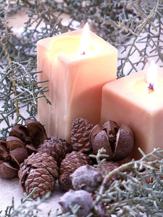 pexels-elahe-rahimi-147015573-10480259_e