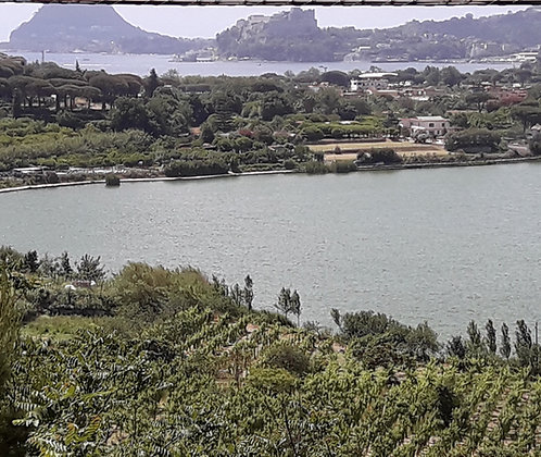 Emerald hills & Blue sea journey in Campania Felix