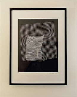Catherine Tempest_GridII_screenprint on 