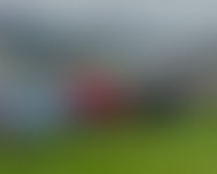 Mit Teamgeist und viel Freude zur Faustball-Landesmeisterschaft