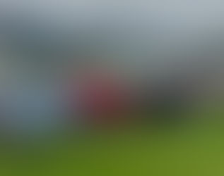 Mit Teamgeist und viel Freude zur Faustball-Landesmeisterschaft