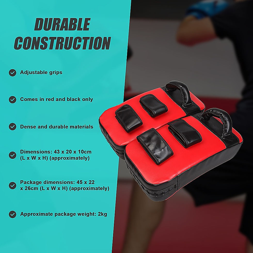 Thumbnail: 2 x Thai Boxing Mitts