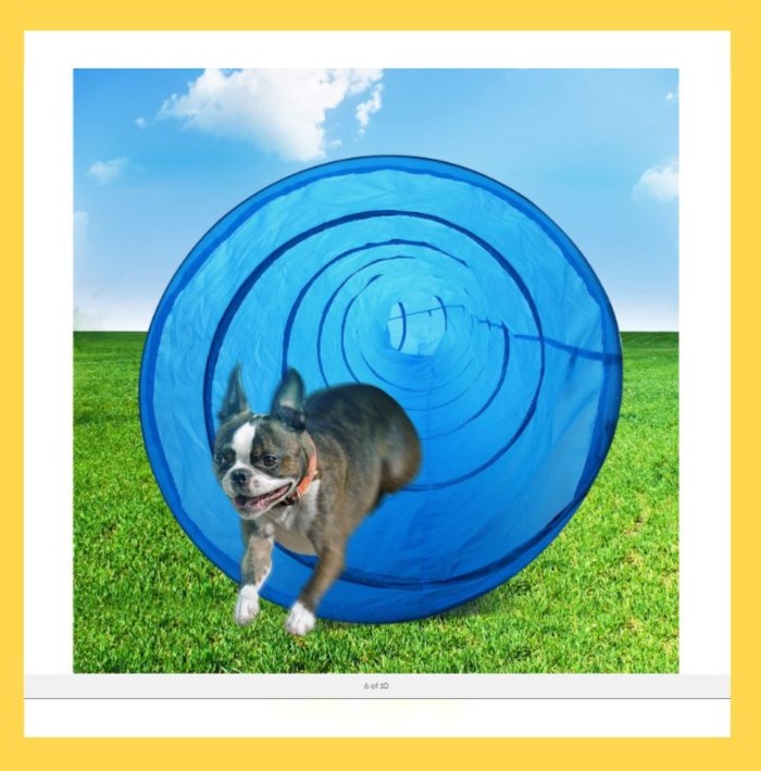 Dog agility tunnel