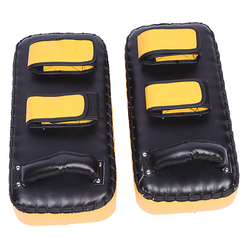 Thumbnail: Kickboxing Thai Pads Shield
