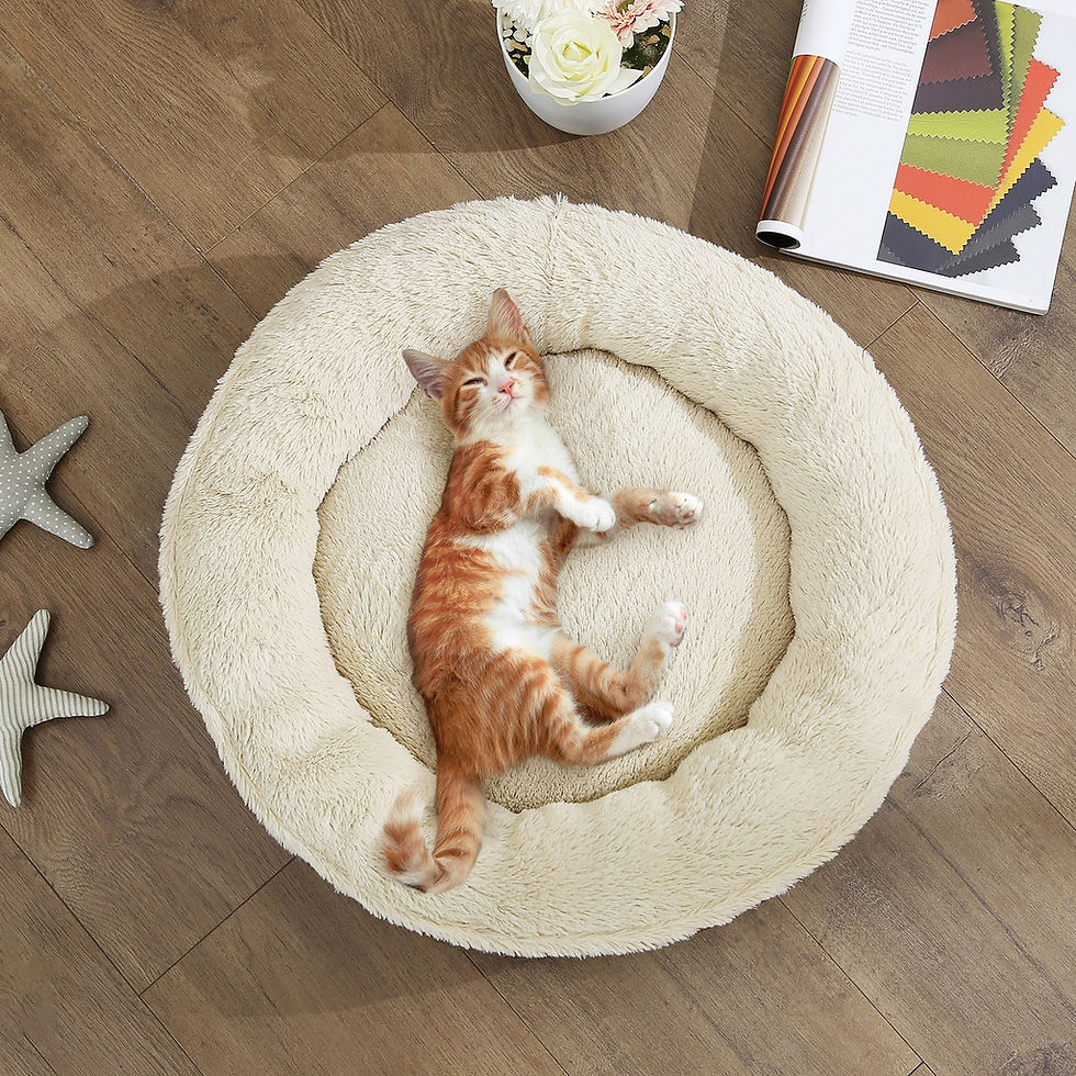 Thumbnail: FEANDREA 55cm Dog Sofa Bed Round Grey