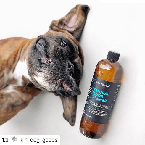 Thumbnail: Essential Dog 500ml Natural Floor Cleaner