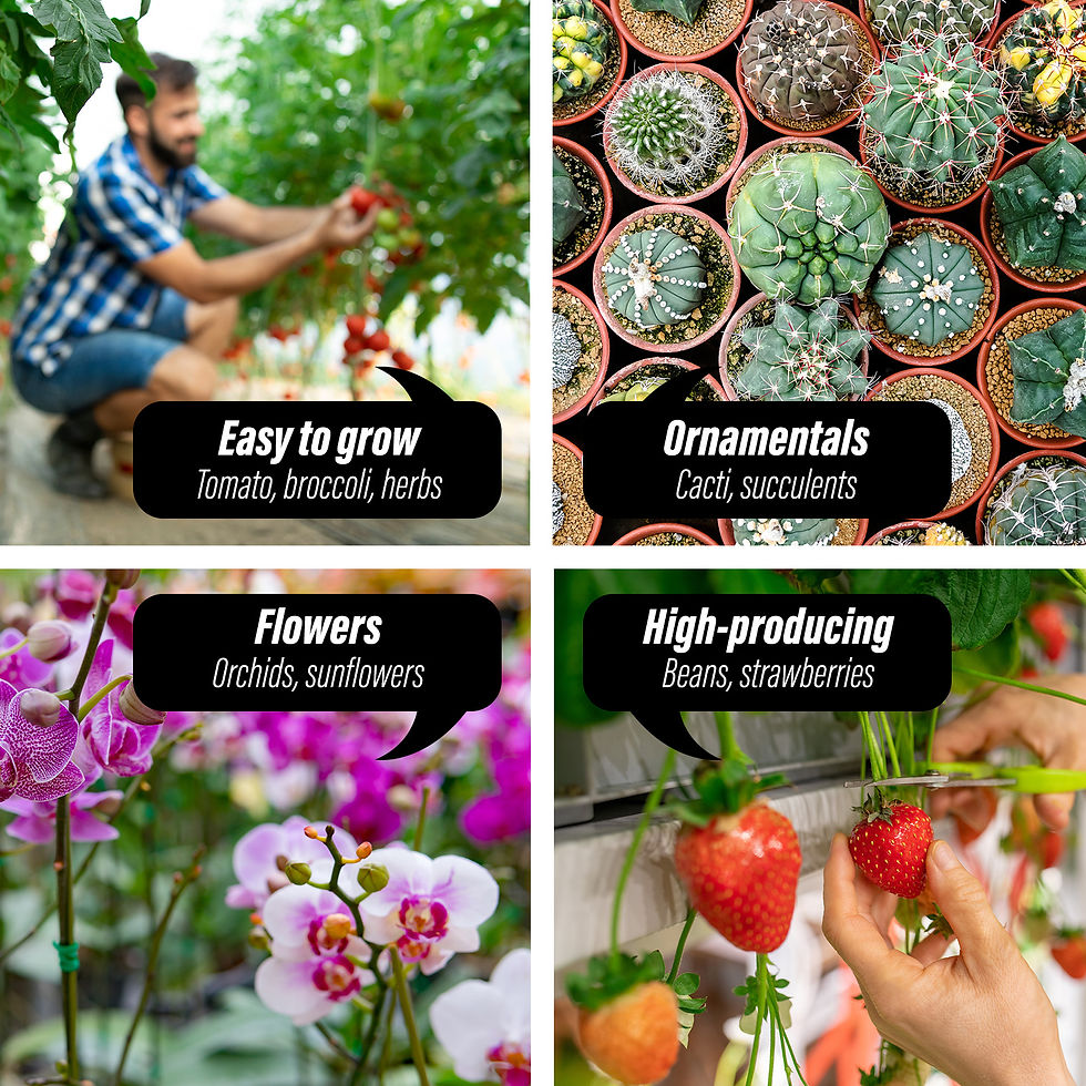 Thumbnail: Home Ready Dome Tunnel 300cm Greenhouse Cover Only