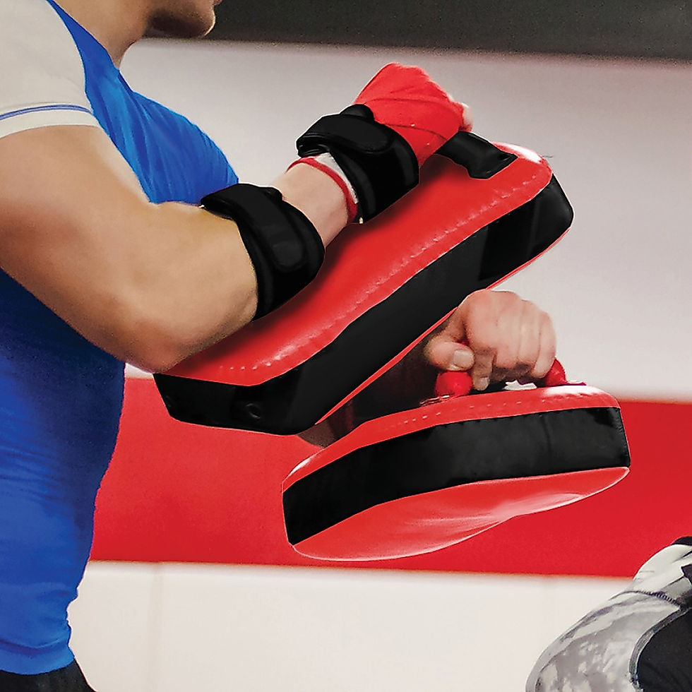 Thumbnail: 2 x Thai Boxing Mitts