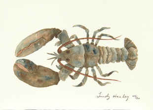 SM Blue Lobster.jpg
