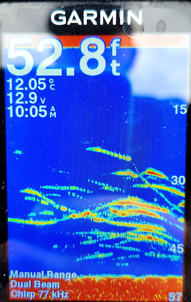 kokanee marks.jpg