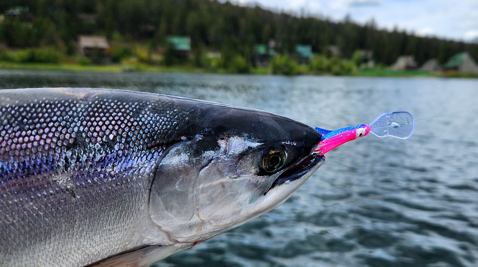 kokanee fishing.jpg