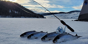 Stump Lake kokanee.jpg